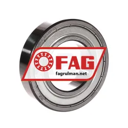 FAG 6209-C-2Z-L069-C3