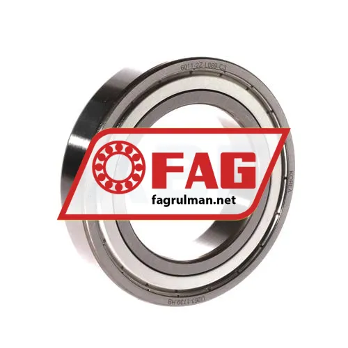 FAG 6011-2Z-L069-C3