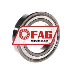 FAG 6011-2Z-L069-C3