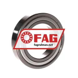 FAG 6011-2Z-L069-C3 rulman resim 2