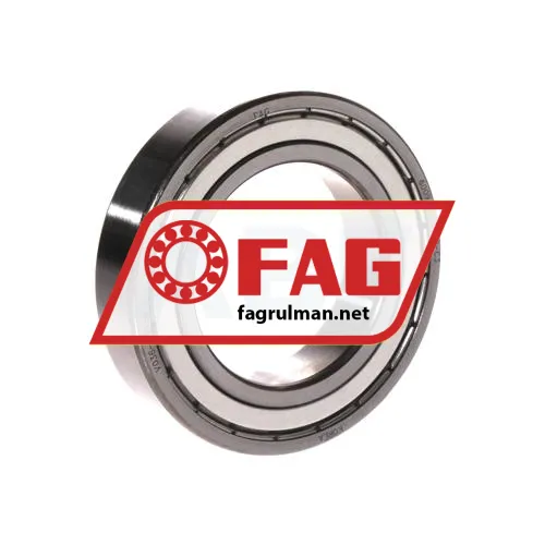 FAG 6009-2Z-L069-C3
