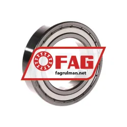 FAG 6009-2Z-L069-C3