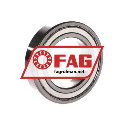 FAG 6009-2Z-L069-C3 rulman resim 2