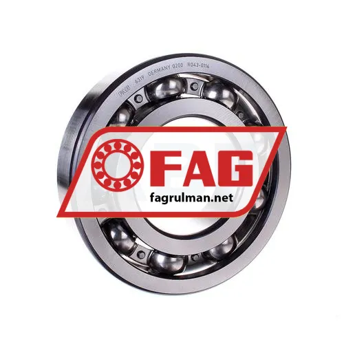 FAG 6319