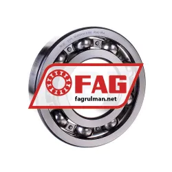 FAG 6319