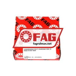 FAG 6304-C-2HRS-C4>V rulman resim 3