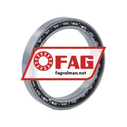 FAG 61808