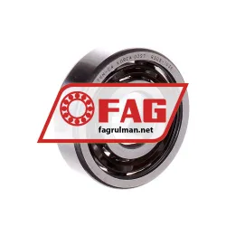 FAG 6303-TVH-C4