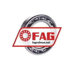 FAG 6010