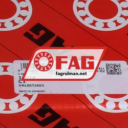 FAG 16028-C3 rulman resim 5