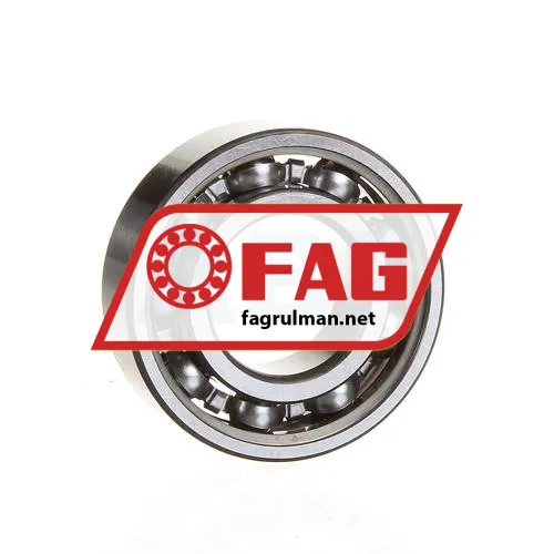 FAG 6004-C3-J22R