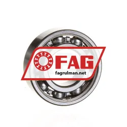 FAG 6004-C3-J22R
