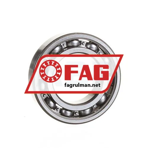 FAG 6006-J22R
