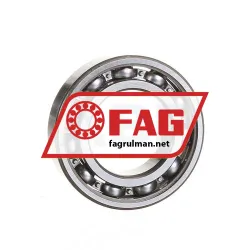 FAG 6006-J22R