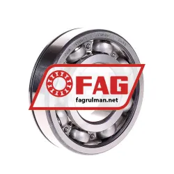 FAG 6310N-C3 rulman resim 2