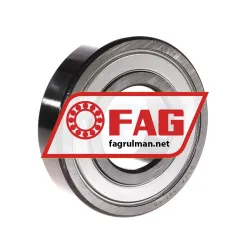 FAG 6310-2ZR