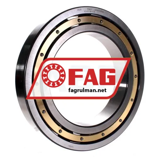 FAG 6040M-C3