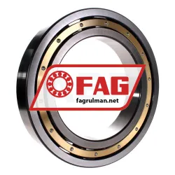 FAG 6040M-C3 rulman resim 2