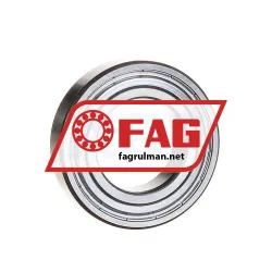 FAG 6006-2ZR