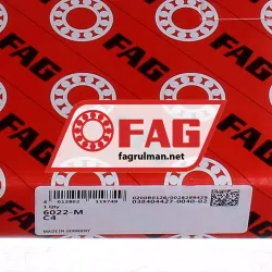 FAG 6022-M-C4 rulman resim 5