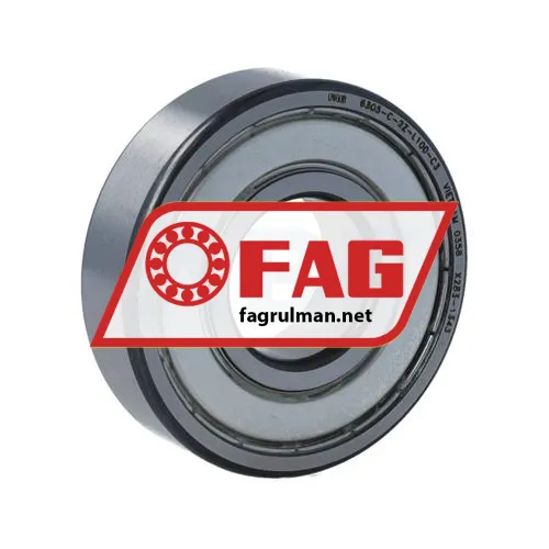FAG 6305-C-2Z-L100-C3>V