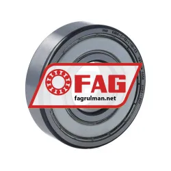FAG 6305-C-2Z-L100-C3>V