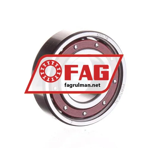 FAG 6004-TB