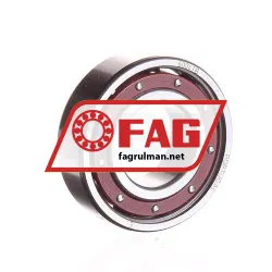 FAG 6004-TB