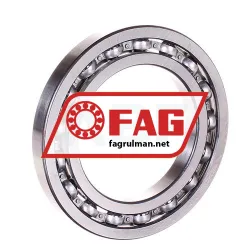 FAG 16012