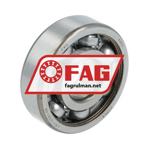 FAG 6303N