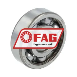 FAG 6303N