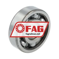 FAG 6303N rulman resim 2