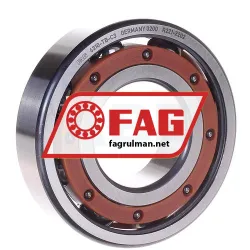 FAG 6310-TB-C3