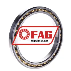 FAG 61818-Y