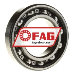 FAG 6007-RSR rulman resim 2