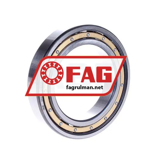 FAG 6013-M