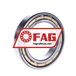 FAG 6013-M