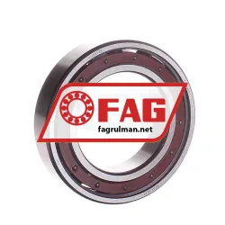 FAG 6009-TB