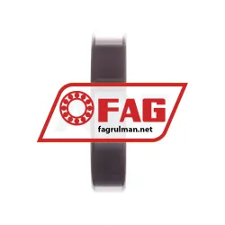 FAG 6009-TB rulman resim 2