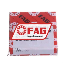 FAG 6005-2Z rulman resim 4