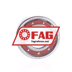 FAG 6004TB-P63 rulman resim 2