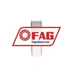 FAG 6004TB-P63 rulman resim 4