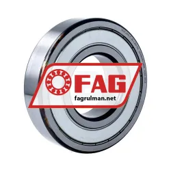 FAG 6313-C-2Z-L207-C4