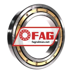 FAG 6038-M