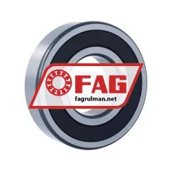 FAG 6313-C-2HRS-L237-C3