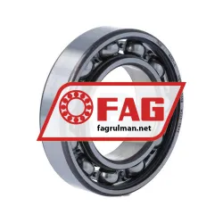 FAG 6007-C>V