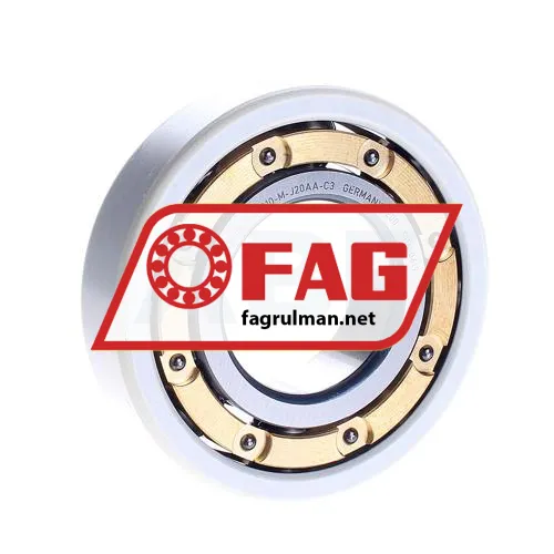 FAG 6310-M-J20AA-C3