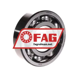 FAG 6309-C4
