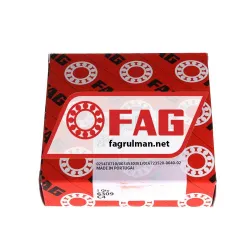 FAG 6309-C4 rulman resim 3