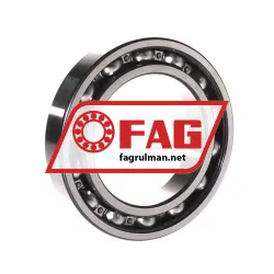 FAG 6016-RSR rulman resim 2